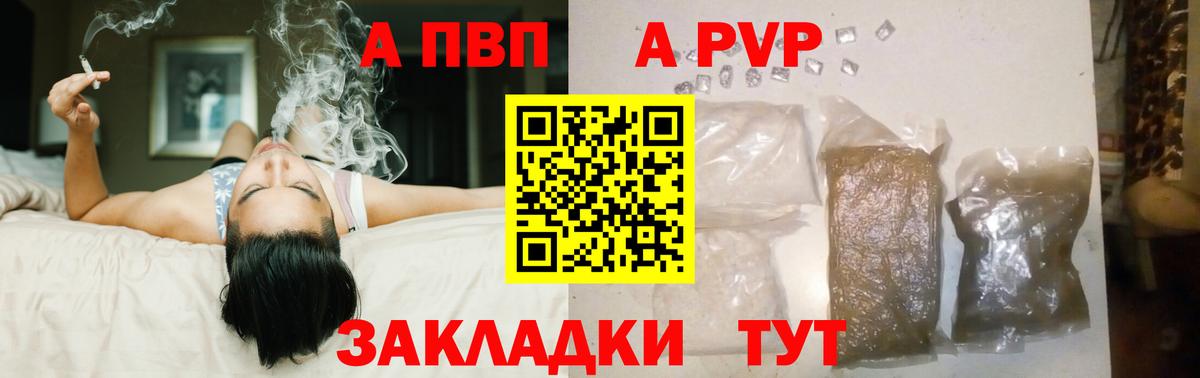 Alfa_PVP СК Борзя