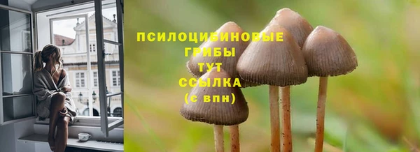 МДПВ Осташков
