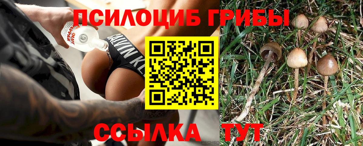 Галлюциногенные грибы Psilocybine cubensis  Вход с VPN  Борзя 