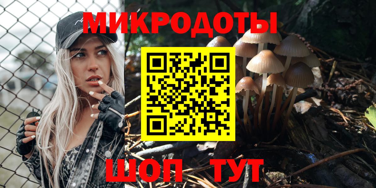 Псилоцибиновые грибы GOLDEN TEACHER  Галлюциногенные грибы Magic Shrooms  Борзя 