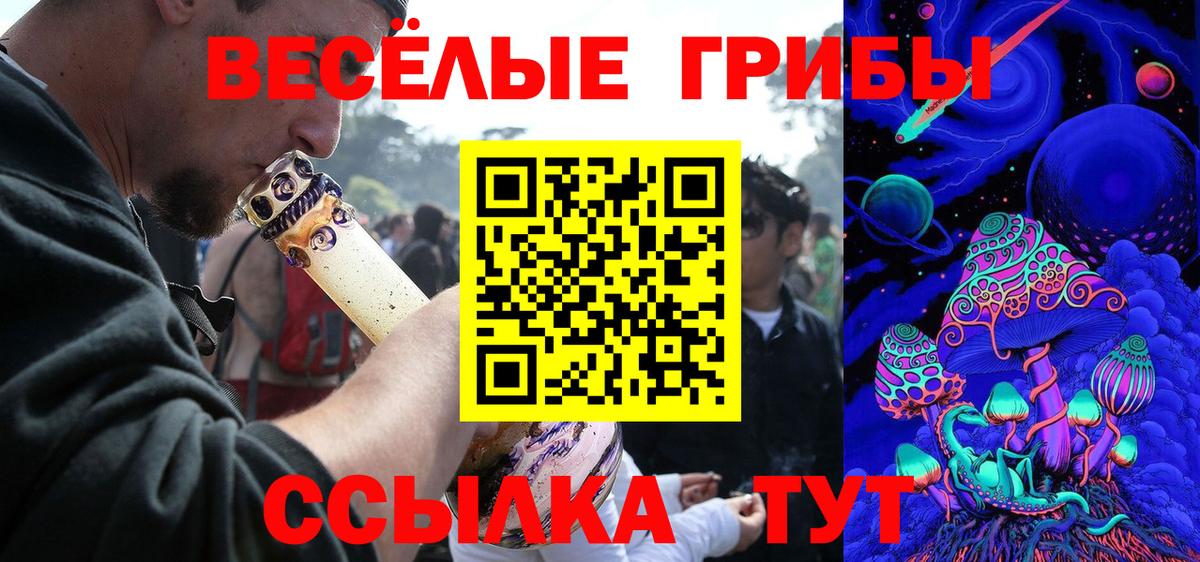 Псилоцибиновые грибы прущие грибы Борзя