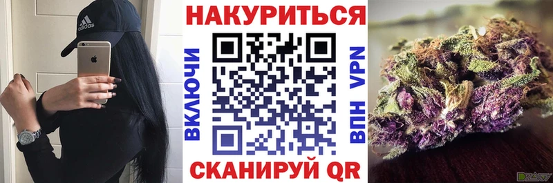 купить наркотики цена  Борзя  Конопля SATIVA & INDICA 